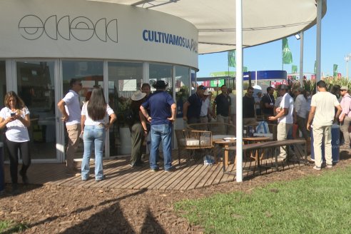 POSTALES EXPOAGRO 2026 - Parte 1