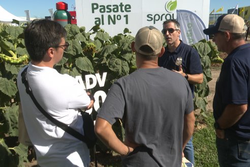 POSTALES EXPOAGRO 2026 - Parte 1