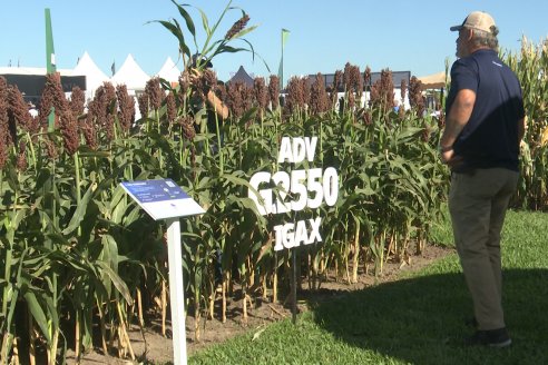 POSTALES EXPOAGRO 2026 - Parte 1