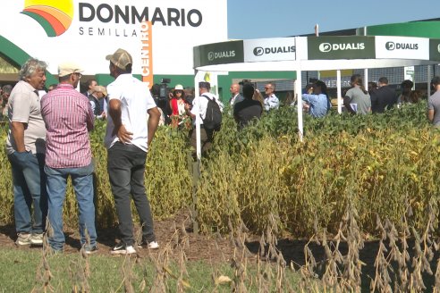 POSTALES EXPOAGRO 2026 - Parte 1