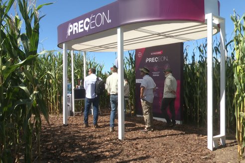 POSTALES EXPOAGRO 2026 - Parte 1