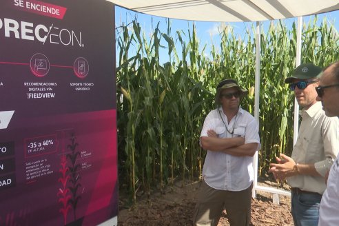 POSTALES EXPOAGRO 2026 - Parte 1