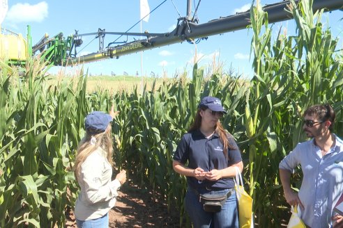 POSTALES EXPOAGRO 2026 - Parte 1