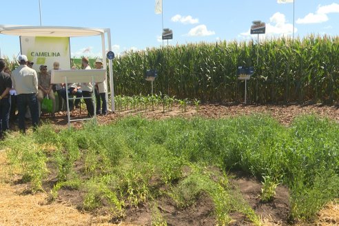 POSTALES EXPOAGRO 2026 - Parte 1