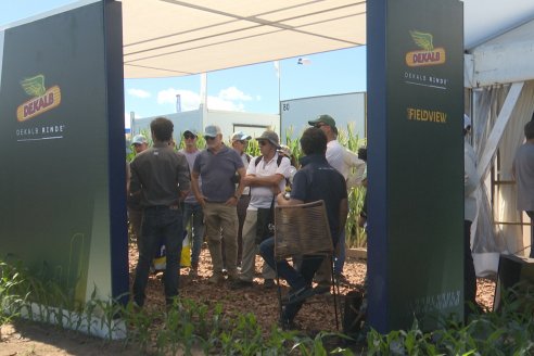 POSTALES EXPOAGRO 2026 - Parte 1