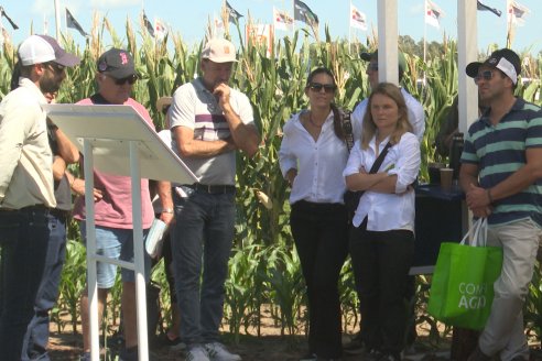 POSTALES EXPOAGRO 2026 - Parte 1