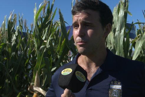 POSTALES EXPOAGRO 2026 - Parte 1