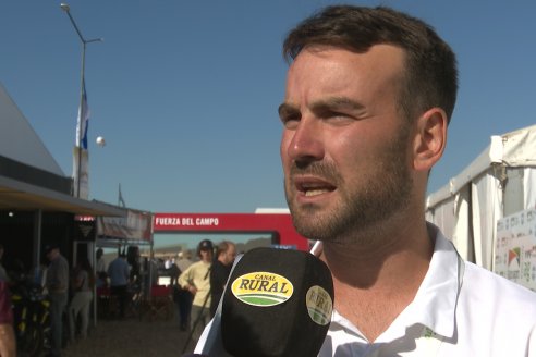 POSTALES EXPOAGRO 2026 - Parte 1