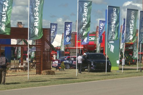 POSTALES EXPOAGRO 2026 - Parte 2