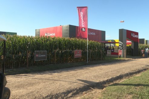 POSTALES EXPOAGRO 2026 - Parte 2
