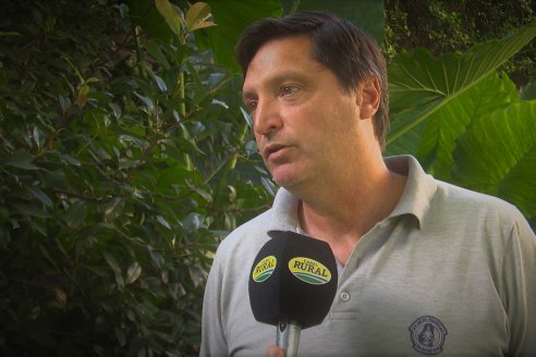 El rinde esperado en soja es el promedio histórico o algo menos