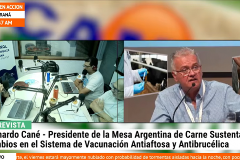 Cané: &ldquo;No se entiende que pretenden hacer ahora con la lucha antiaftosa&rdquo;