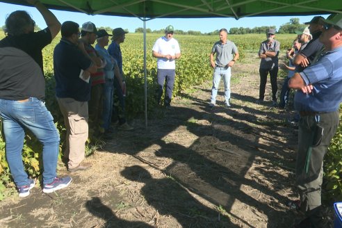 Recorrida Sojera Pioneer en Establ. San Alfonso en Colonia Ensayo, Entre Ríos