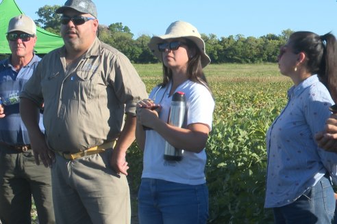 Recorrida Sojera Pioneer en Establ. San Alfonso en Colonia Ensayo, Entre Ríos