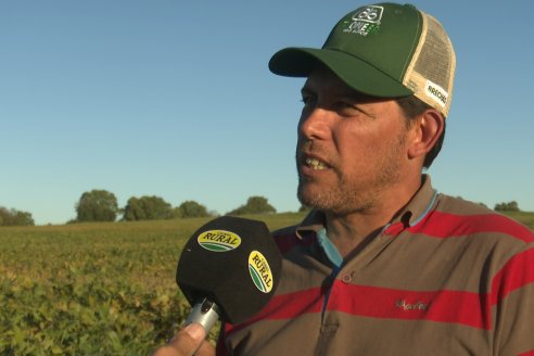 Recorrida Sojera Pioneer en Establ. San Alfonso en Colonia Ensayo, Entre Ríos