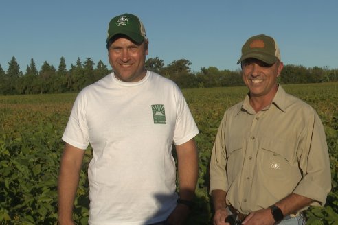 Recorrida Sojera Pioneer en Establ. San Alfonso en Colonia Ensayo, Entre Ríos