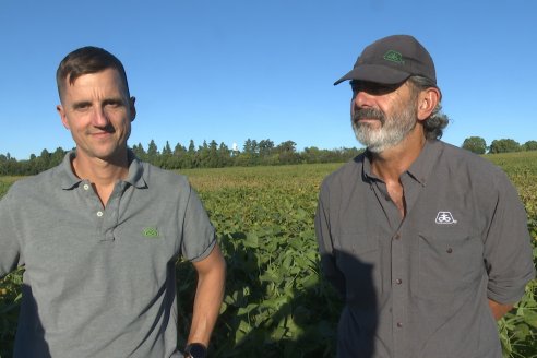 Recorrida Sojera Pioneer en Establ. San Alfonso en Colonia Ensayo, Entre Ríos