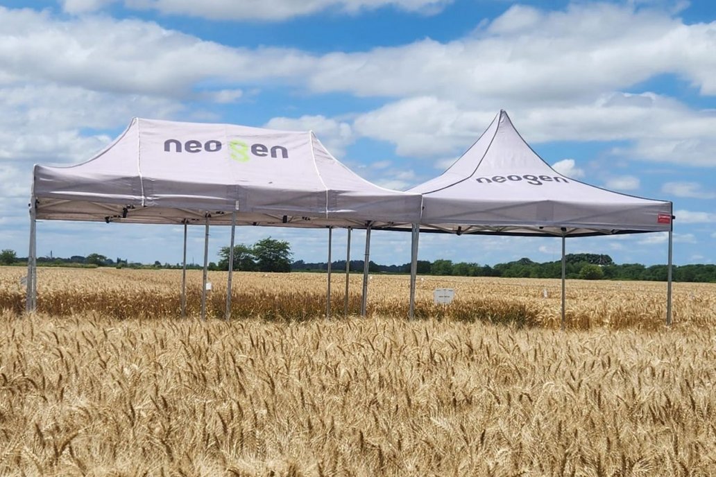 Neogen propone una estrategia triguera en Año 