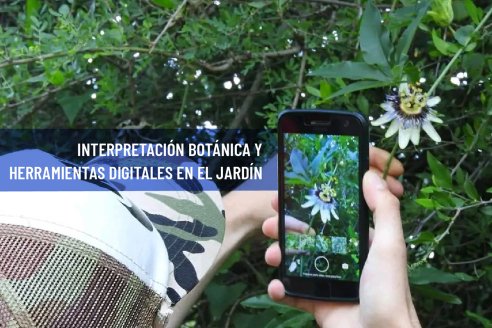 Enseñan a manejar herramientas digitales en el Jardín Botánico