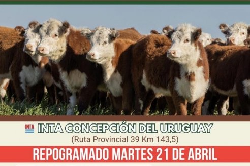 Jura Fenotípica y Prueba Pastoril Hereford