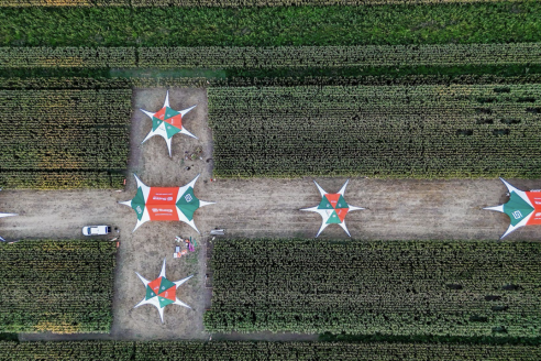 Experiencia SupraRoad:  del campo a la genética