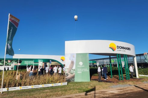 Trigo 2026: un portfolio estratégico y las mejores opciones de genética