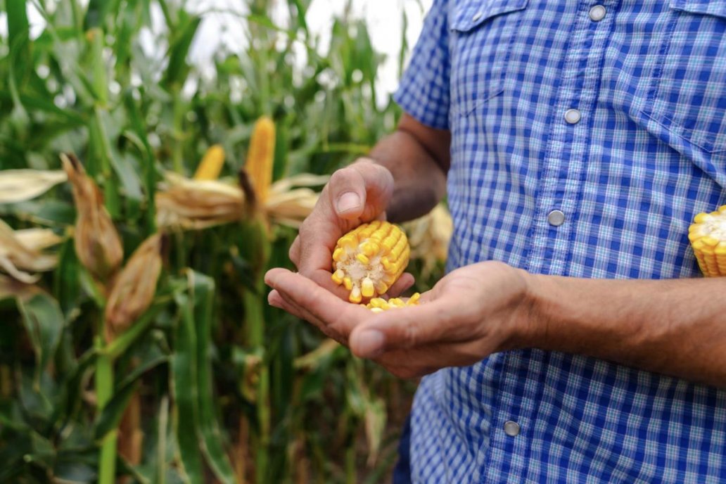 Semillas ILLINOIS presentó su nueva campaña comercial 2026/27