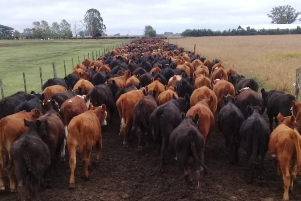 El acuerdo entre la Unión Europea y el Mercosur entra en vigencia el 1 de Mayo