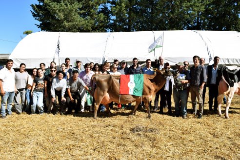 Los mejores aplausos de la Expo Leche fueron para la raza Jersey
