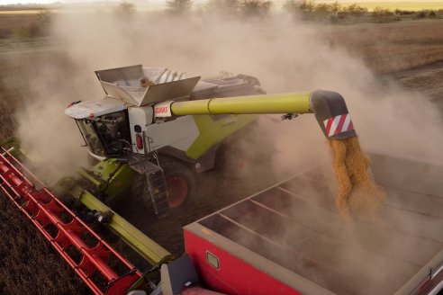 ¿Por qué cosechar con CLAAS permite ahorrar casi medio millón de pesos por día?