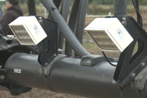 Jornada Carinata: La evolución real del sistema productivo argentino - San Jerónimo Norte, Santa Fe