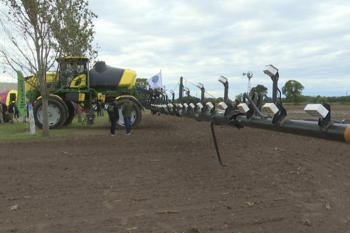 Jornada Carinata: La evolución real del sistema productivo argentino - San Jerónimo Norte, Santa Fe