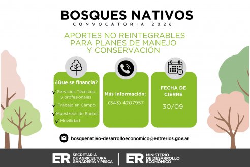 Convocatoria para financiar proyectos de manejo y conservación del bosque nativo