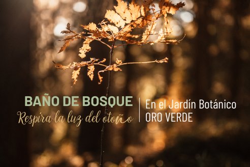 Recorrida al Jardín Botánico de Oro Verde