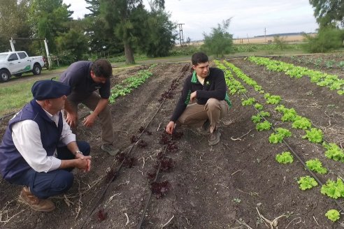 Financian pequeños proyectos de huerta, citrus y miel con hasta tres millones de pesos y a tasa cero