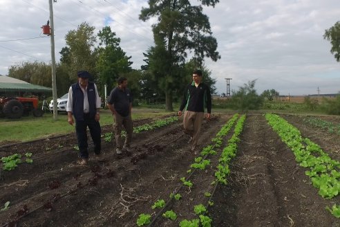 Matias Güttlein - Horticultor - Pasion y profesionalismo en función de lograr verduras de calidad