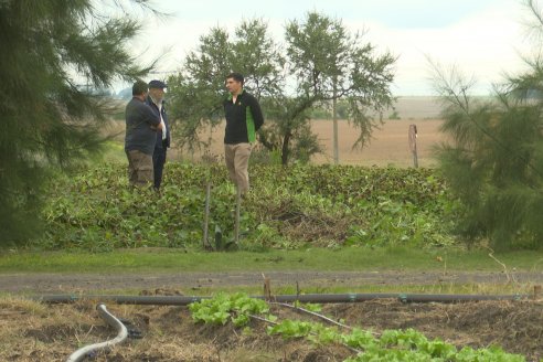 Matias Güttlein - Horticultor - Pasion y profesionalismo en función de lograr verduras de calidad