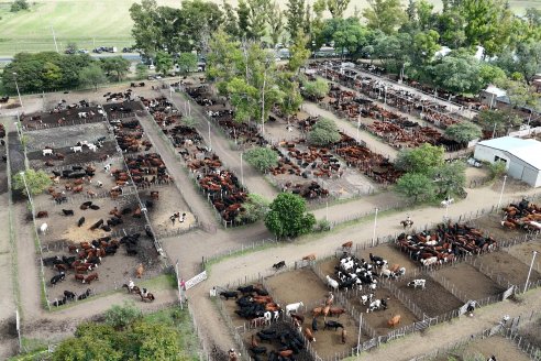 Postales del Remate Anual 56 Aniversario de Etchevehere Rural en Feria Maria Dolores, Ramirez.