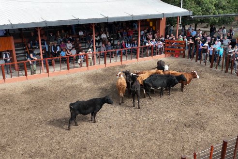 Postales del Remate Anual 56 Aniversario de Etchevehere Rural en Feria Maria Dolores, Ramirez.