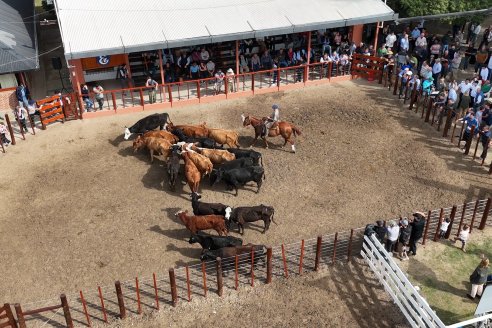 Postales del Remate Anual 56 Aniversario de Etchevehere Rural en Feria Maria Dolores, Ramirez.