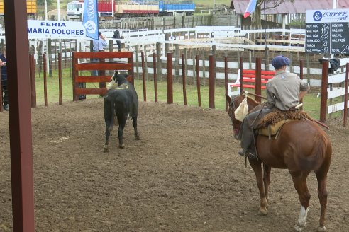 Postales del Remate Anual 56 Aniversario de Etchevehere Rural en Feria Maria Dolores, Ramirez.