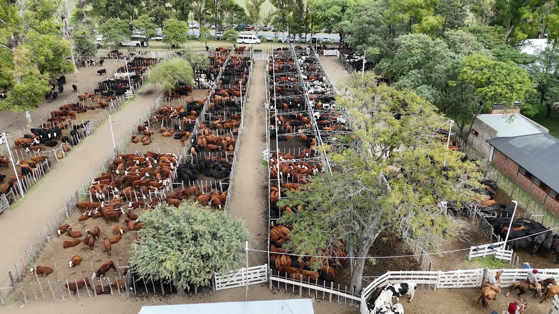 Etchevehere Rural celebró sus primeros 56 años de actividad
