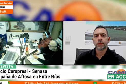Senasa explica porqué la segunda vacunación del año contra aftosa empieza el 8 de junio en Entre Ríos