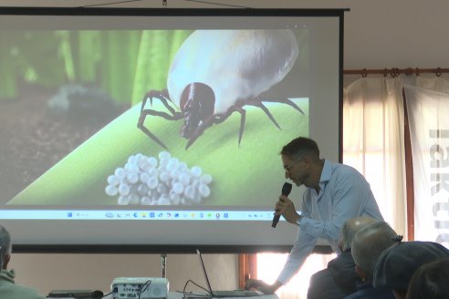 En Federal están convencidos de que controlar garrapatas es posible y que erradicarla es real
