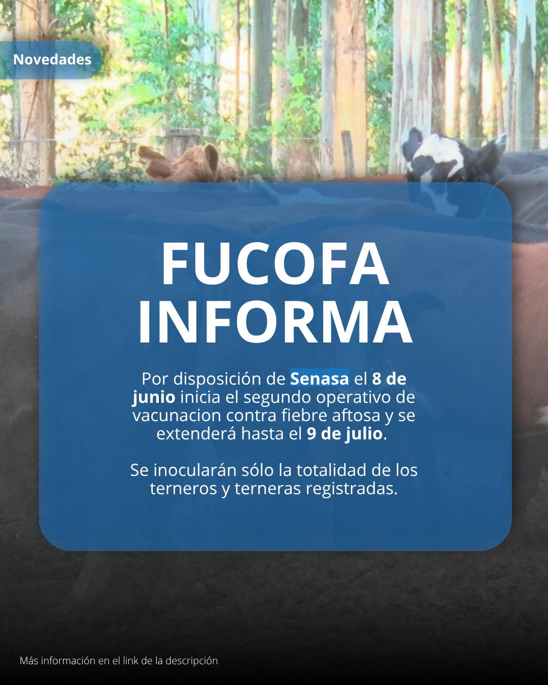 Senasa ordenó vacunar contra fiebre aftosa desde este 8 de junio