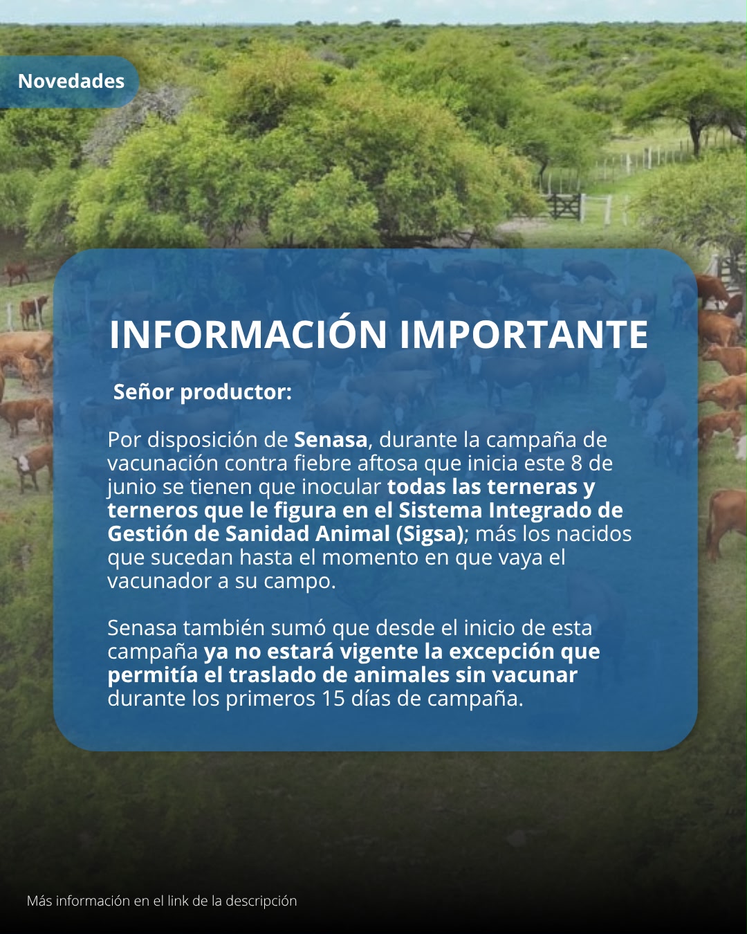 Lo que hay que saber sobre la vacunada que inicia este lunes