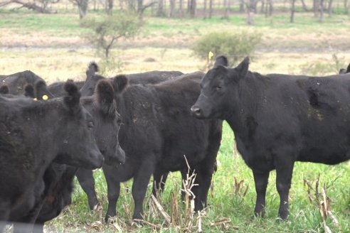 Dia de Campo 2026 - Coembotá de Calderón