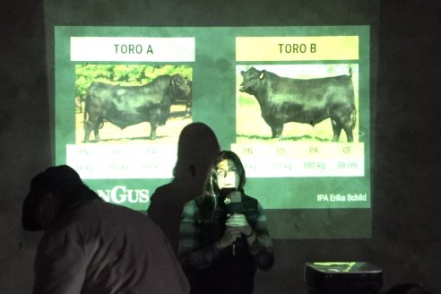Dia de Campo 2026 - Coembotá de Calderón