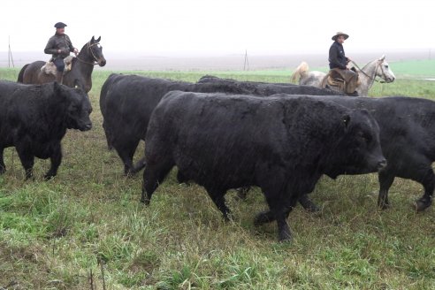 Dia de Campo 2026 - Coembotá de Calderón