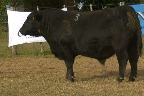 Dia de Campo 2026 - Coembotá de Calderón